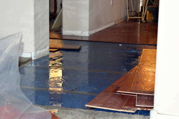 Professional Basement Flood Cleanup technician working in Newport, MN